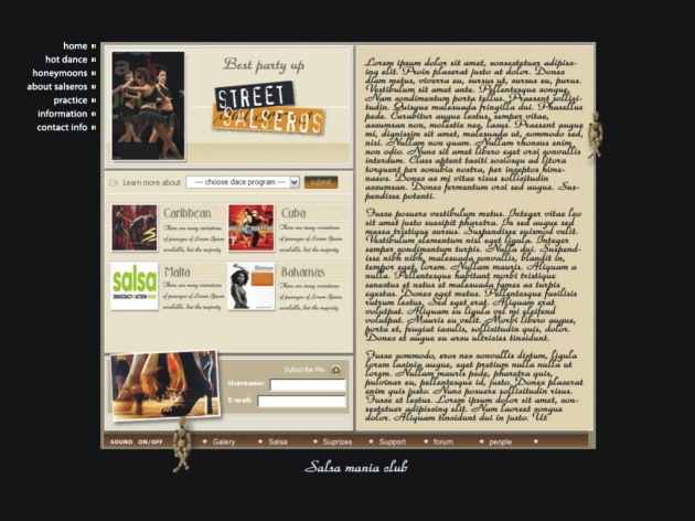 IndigoDesign BG, Street Salseros